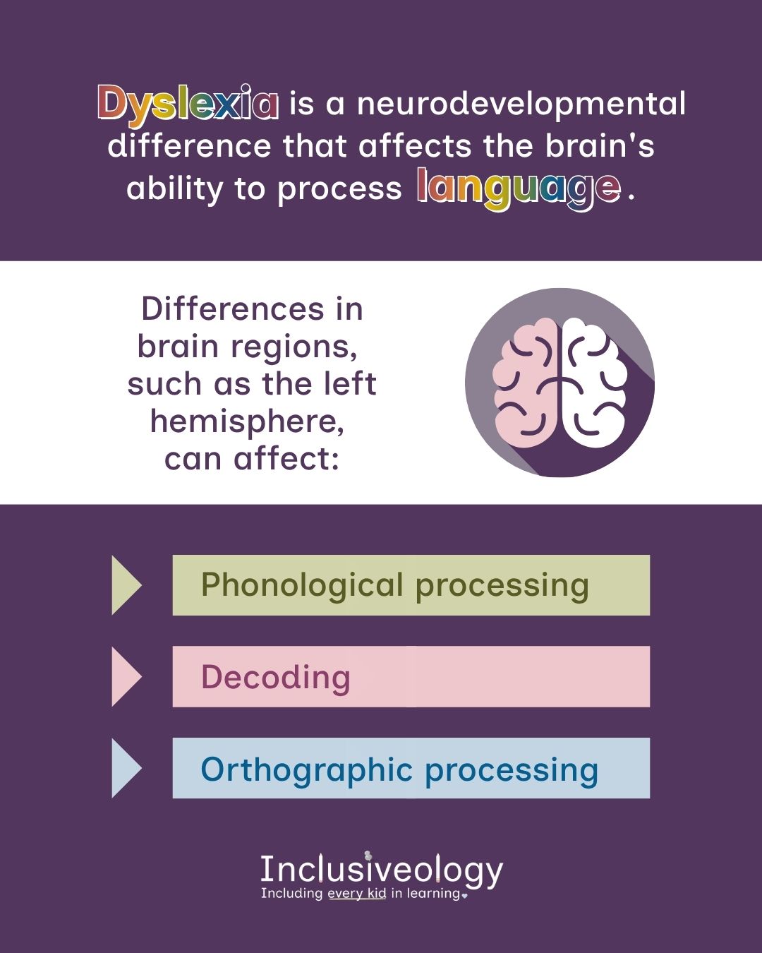 Inclusiveology infographic stating 'Dyslexia is a neurodevelopmental difference that affects the brain's ability to process language.' A brain icon accompanies text explaining that differences in the left hemisphere can affect three areas: phonological processing, decoding, and orthographic processing.